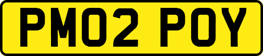 PM02POY