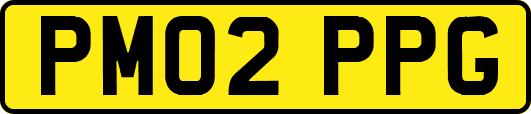 PM02PPG