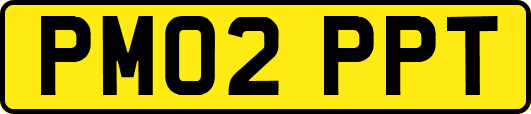 PM02PPT