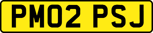 PM02PSJ