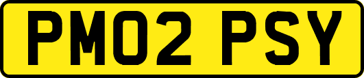 PM02PSY