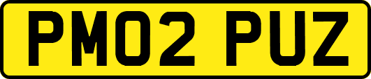 PM02PUZ