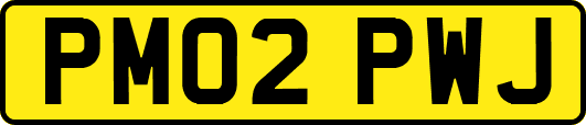 PM02PWJ