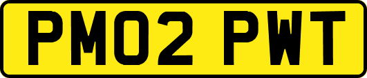 PM02PWT