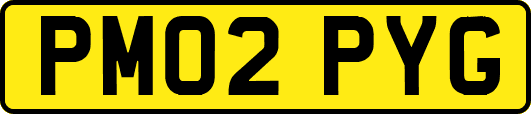 PM02PYG