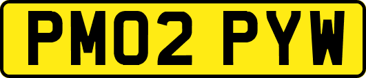 PM02PYW