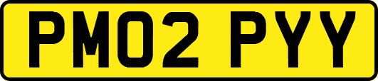 PM02PYY