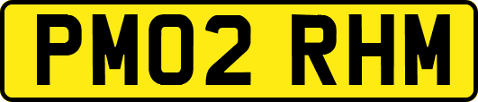 PM02RHM