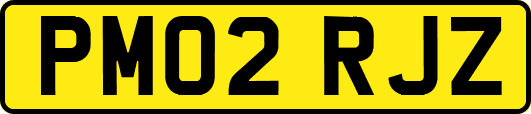PM02RJZ