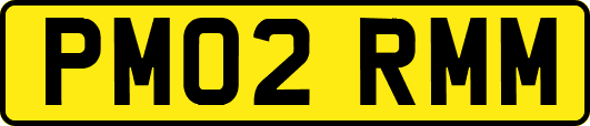 PM02RMM