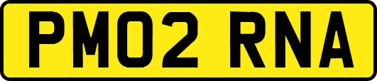 PM02RNA