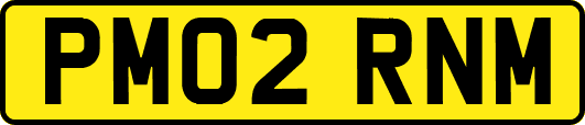 PM02RNM