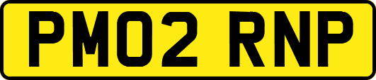 PM02RNP