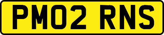 PM02RNS