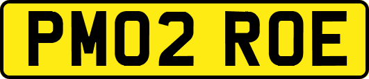 PM02ROE