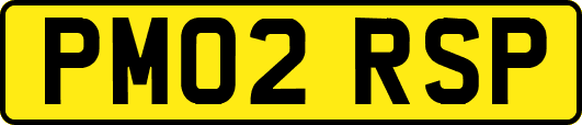 PM02RSP