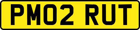 PM02RUT