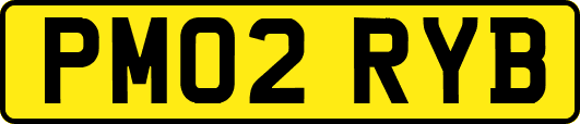 PM02RYB