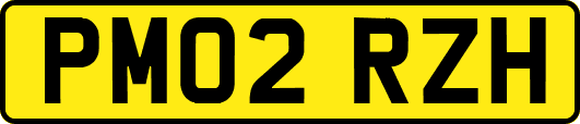 PM02RZH