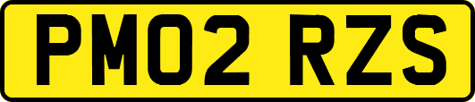 PM02RZS