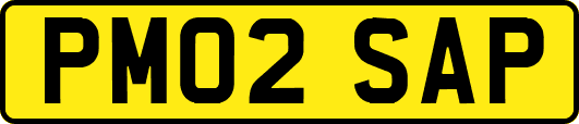 PM02SAP