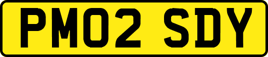 PM02SDY