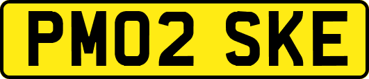 PM02SKE