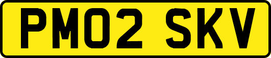 PM02SKV