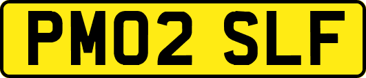 PM02SLF