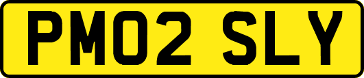 PM02SLY