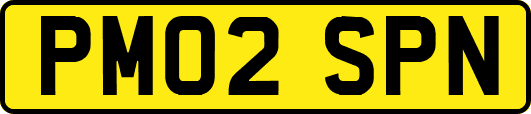 PM02SPN