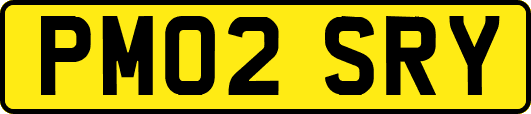 PM02SRY