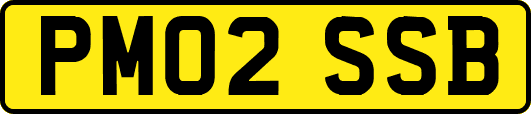 PM02SSB