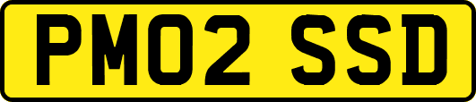 PM02SSD