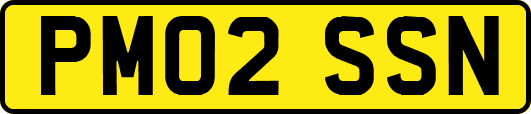 PM02SSN