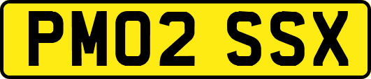 PM02SSX