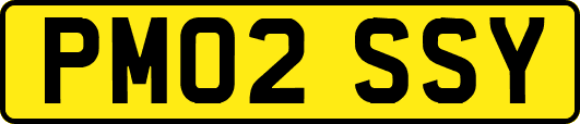 PM02SSY