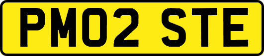 PM02STE