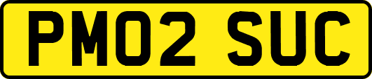 PM02SUC