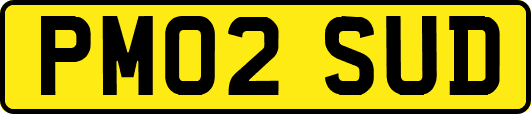 PM02SUD