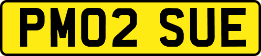 PM02SUE