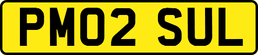 PM02SUL
