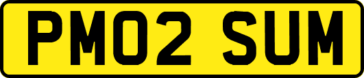 PM02SUM