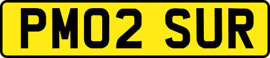 PM02SUR