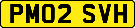 PM02SVH