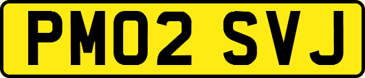 PM02SVJ