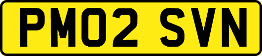 PM02SVN