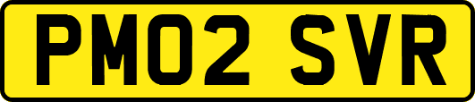 PM02SVR