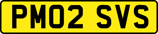 PM02SVS