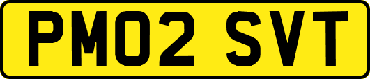 PM02SVT
